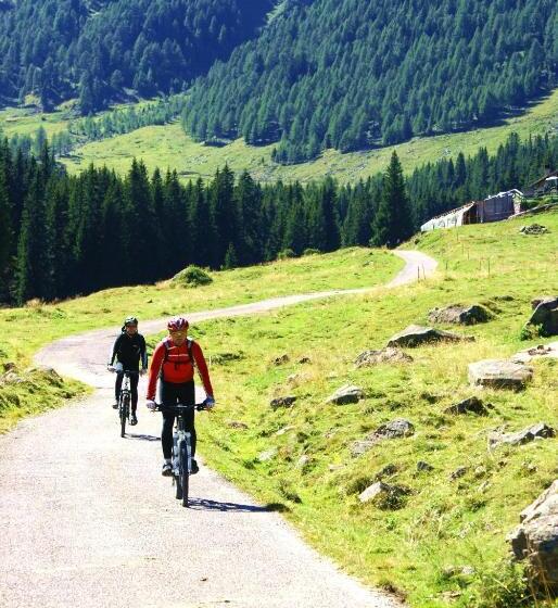 בית מלון כפרי Garnì Sella Cipriani