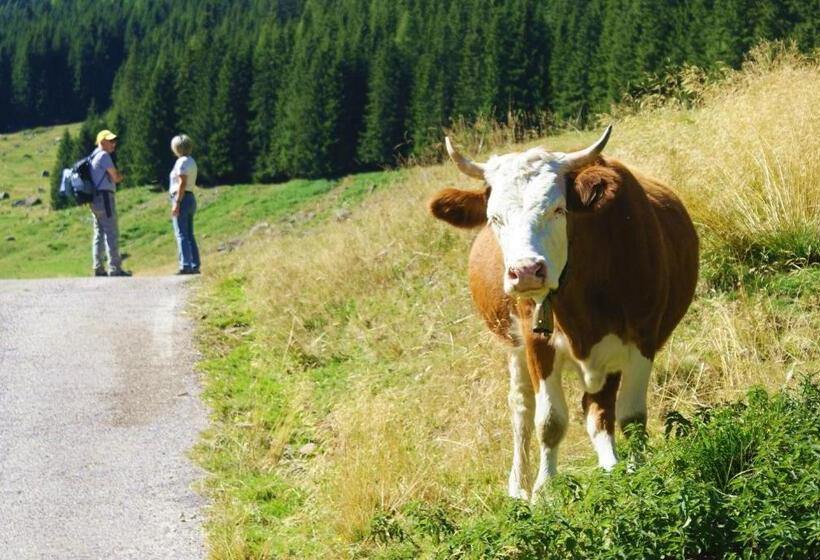 בית מלון כפרי Garnì Sella Cipriani