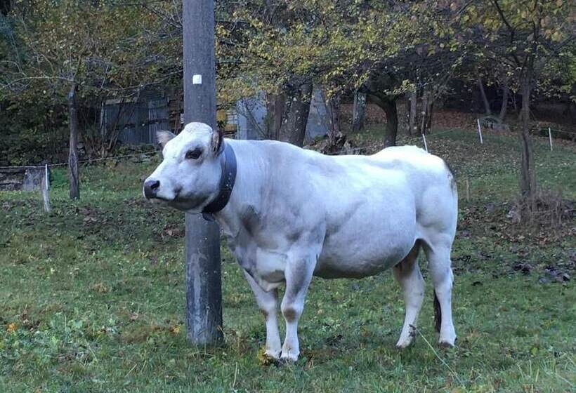 בית מלון כפרי Monte Giove