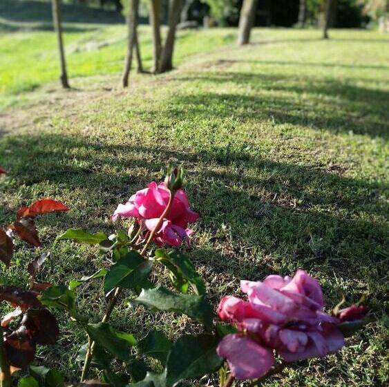 فندق ريفى Agriturismo Bonzalone