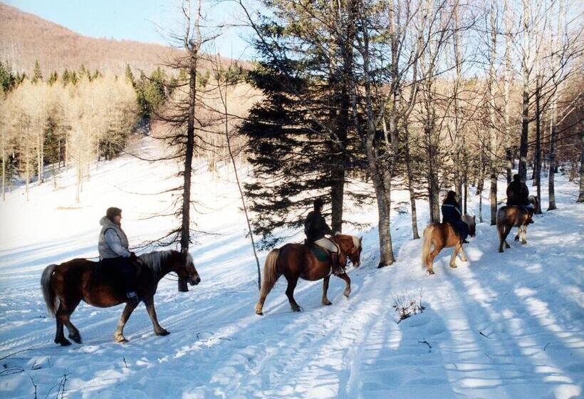 田舎風ホテル Agriturismo Del Cimone