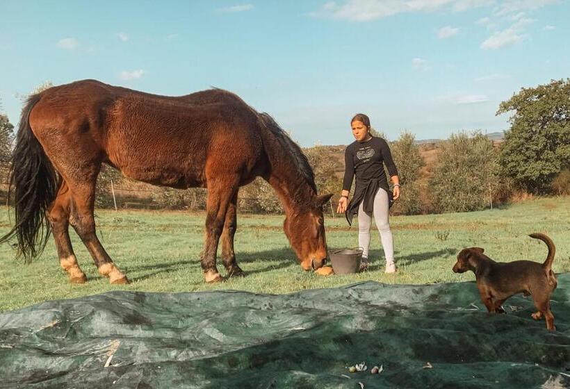 هتل روستایی Agriturismo Il Puntoncino