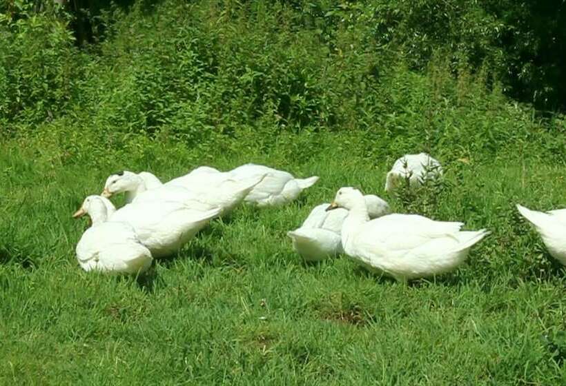 فندق ريفى Agriturismo Poggio Del Sole