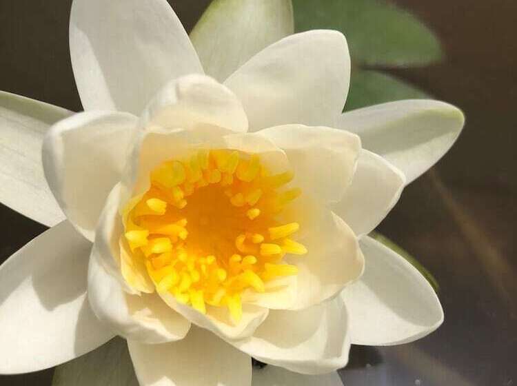 乡村酒店 Agriturismo Vivinatura