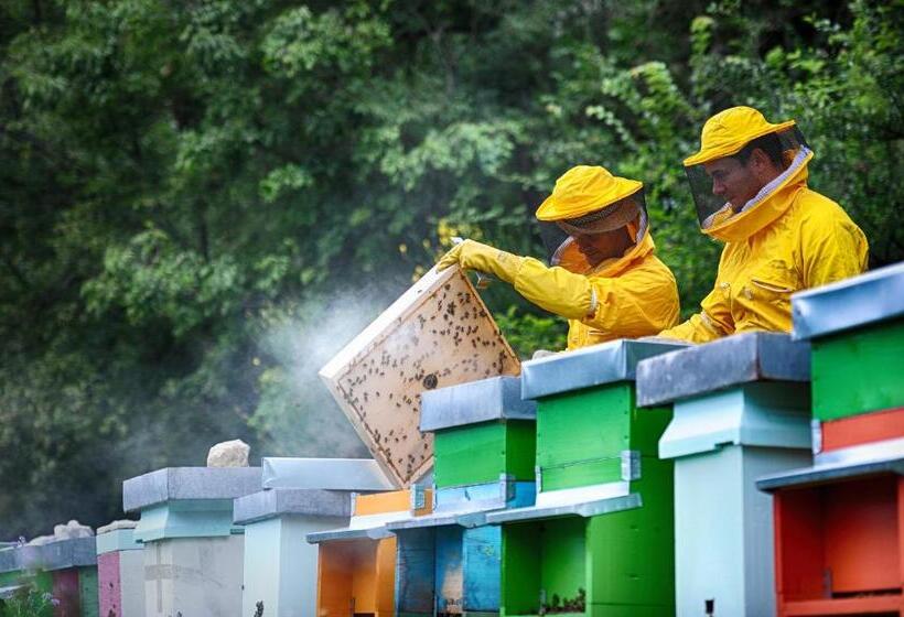 فندق ريفى Fattoria La Cona