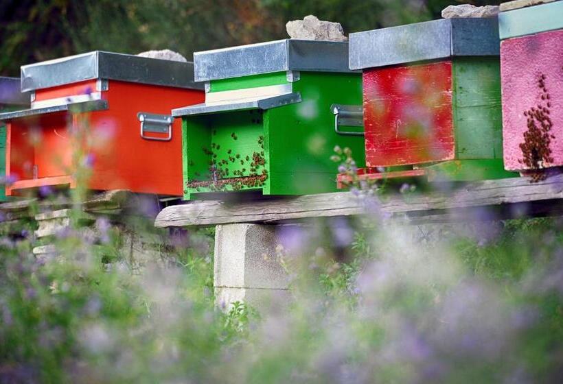 فندق ريفى Fattoria La Cona