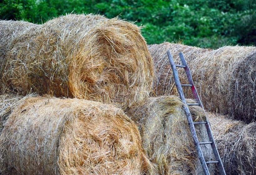 فندق ريفى Fattoria La Cona