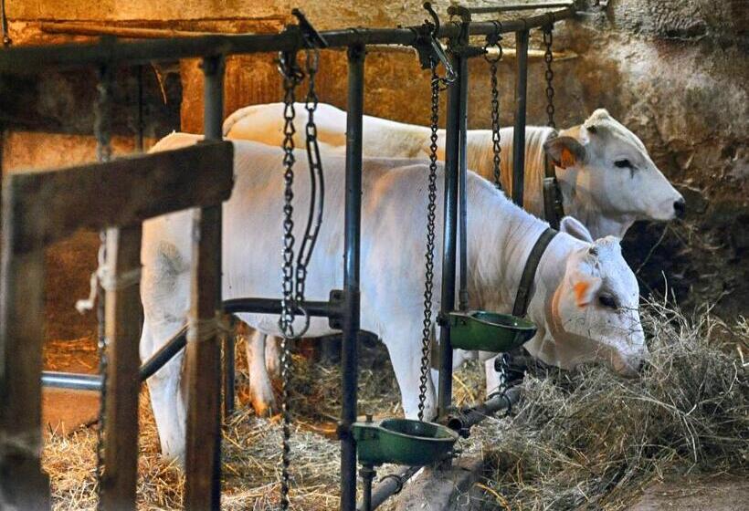 فندق ريفى Fattoria La Cona