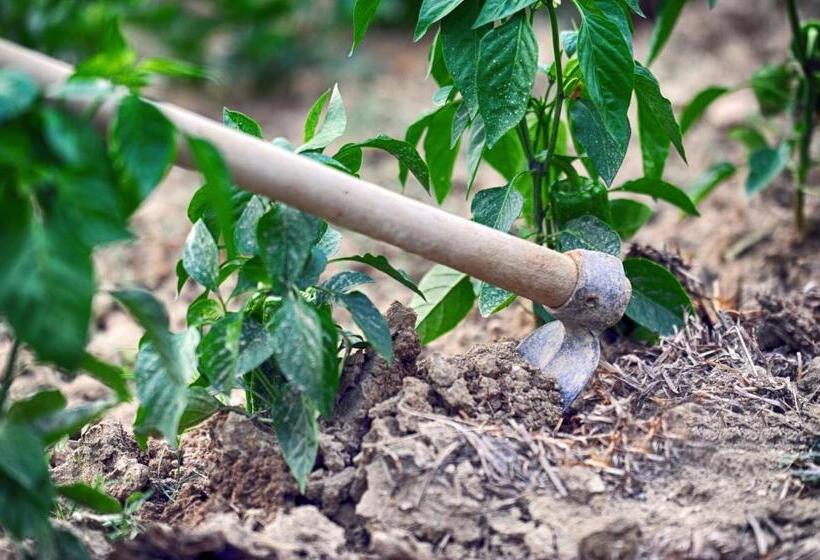 فندق ريفى Fattoria La Cona