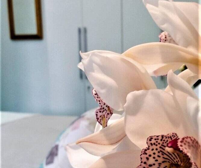 La Corte Dei Naviganti B&b Amalfi Coast Cetara