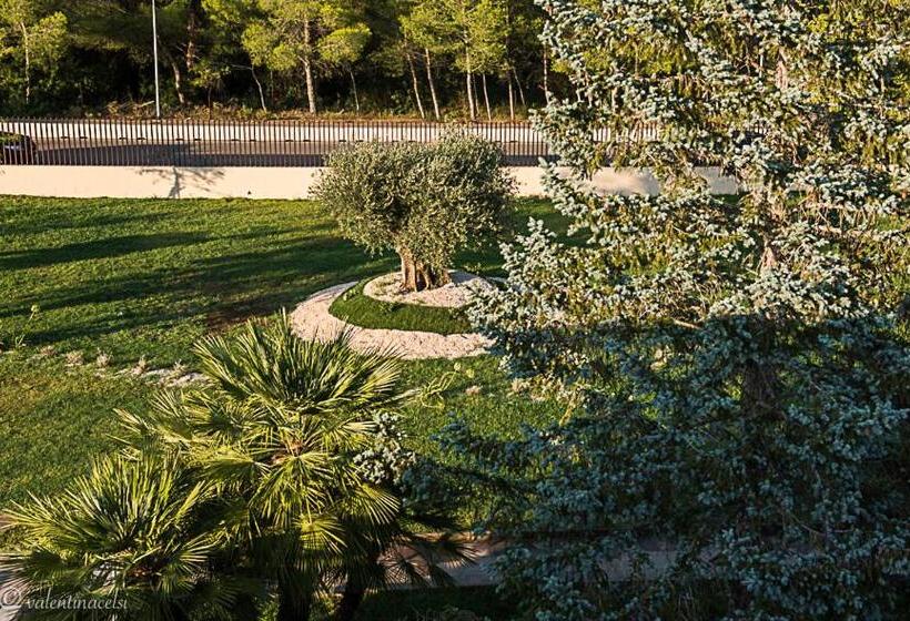 펜션 San Vincenzo Resort