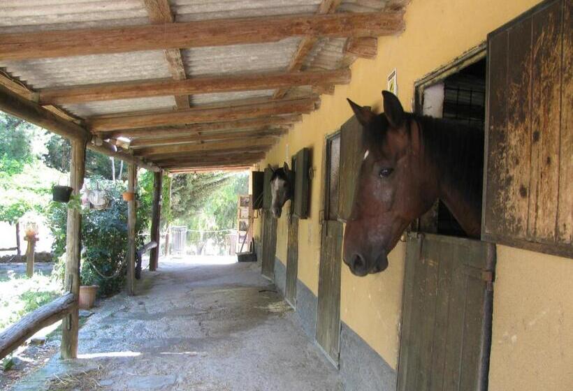 B&b Macalube Aragona