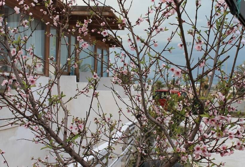 B&b Palazzo Manfredi Vieste Vista Mare Con Parcheggio