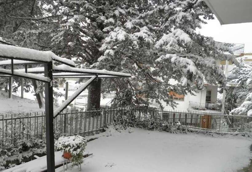 住宿加早餐 Don Milani