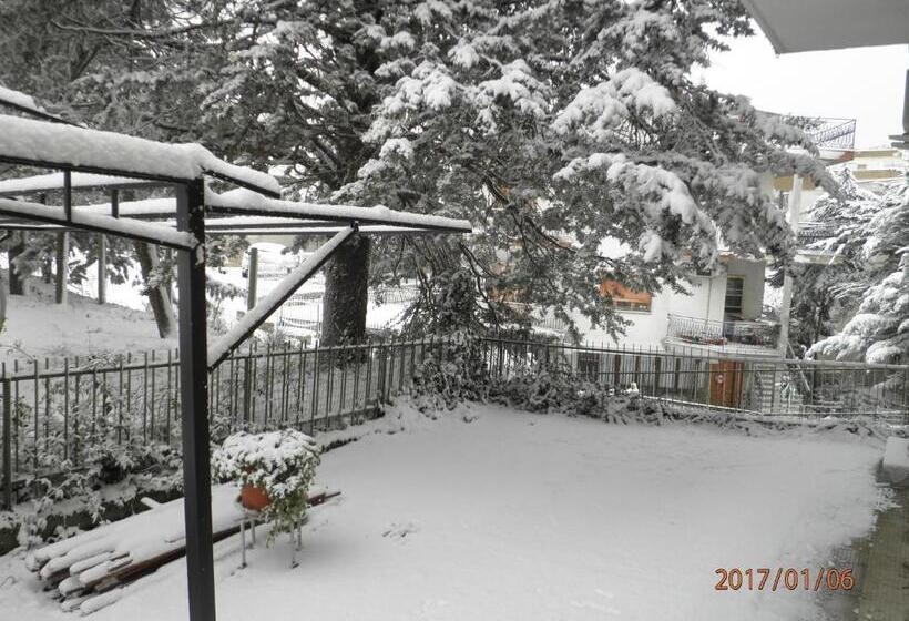 住宿加早餐 Don Milani