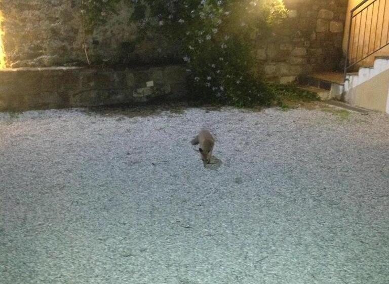 Bed and Breakfast Locanda La Corte