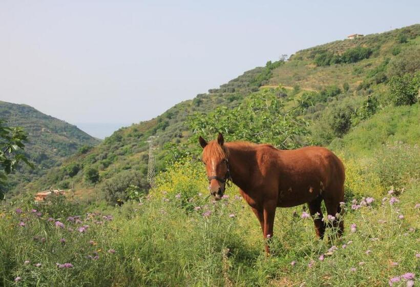 Bed and Breakfast Locanda La Corte