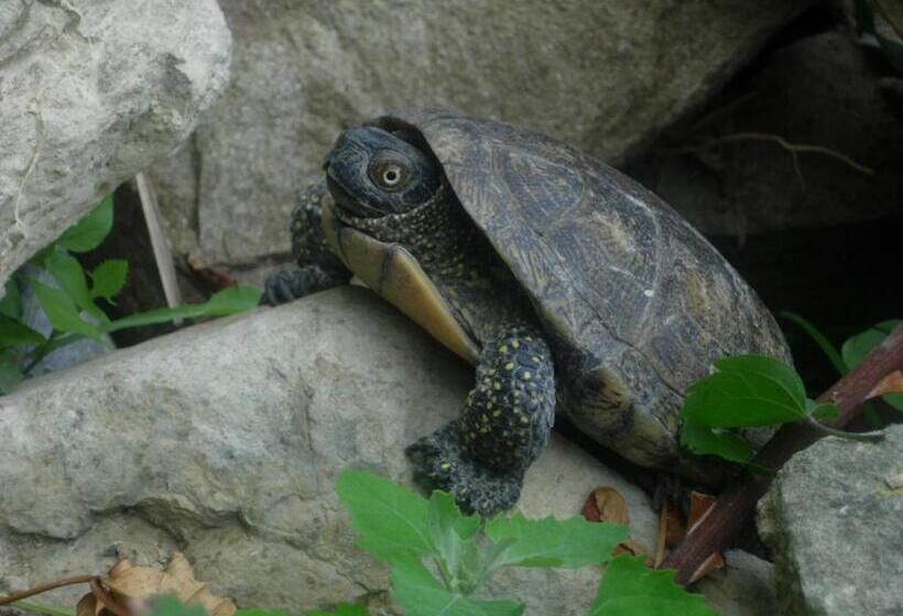 Bed and Breakfast Locanda La Corte