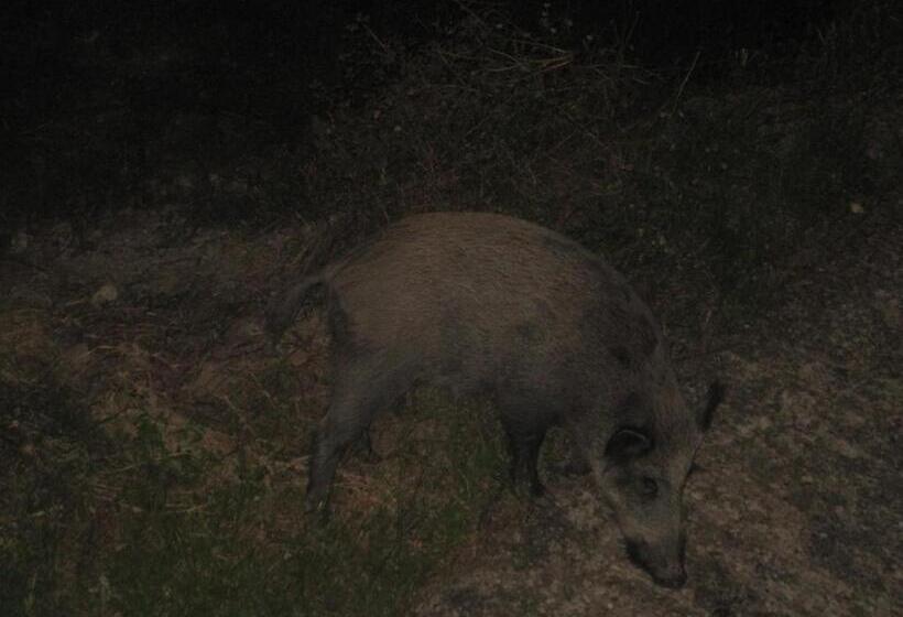 Bed and Breakfast Locanda La Corte