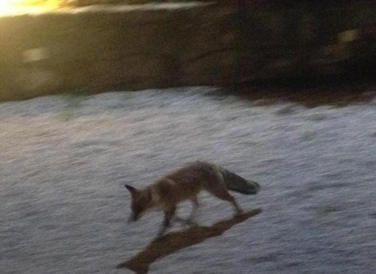 ベッドアンドブレックファースト Locanda La Corte