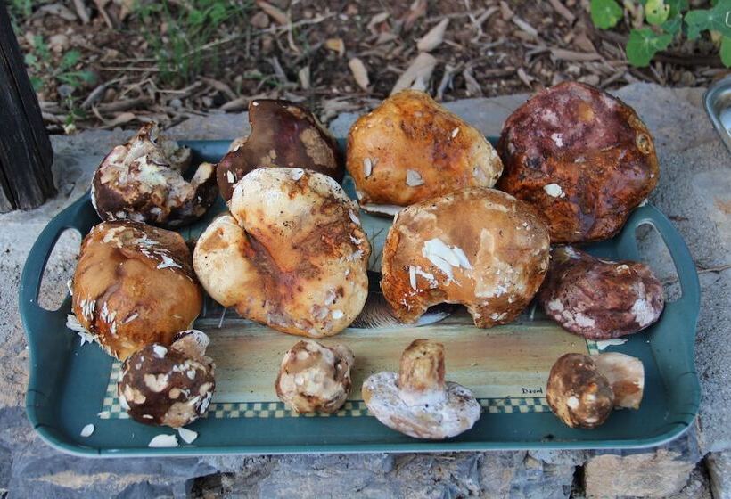 Bed and Breakfast Locanda San Fantino