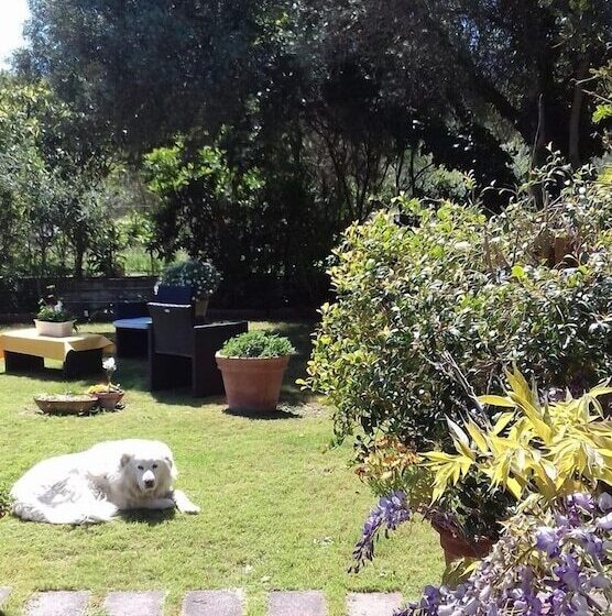 B&b Su Narboni Mannu E4247