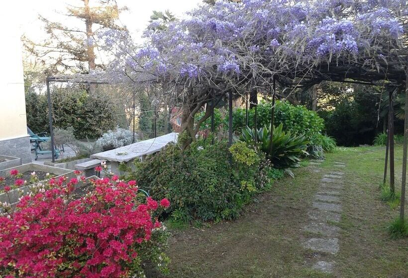 צימר Swanlake Rooms