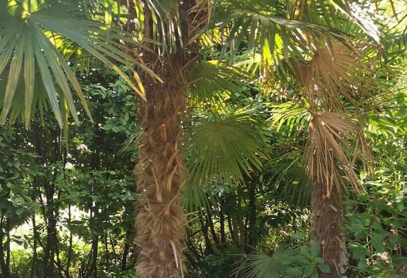 צימר Swanlake Rooms