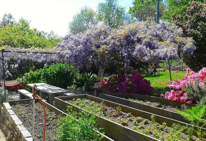 צימר Swanlake Rooms