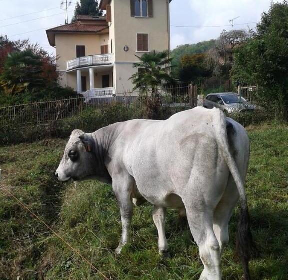 צימר Swanlake Rooms