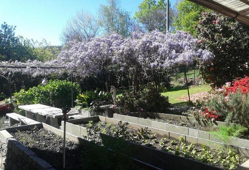 צימר Swanlake Rooms