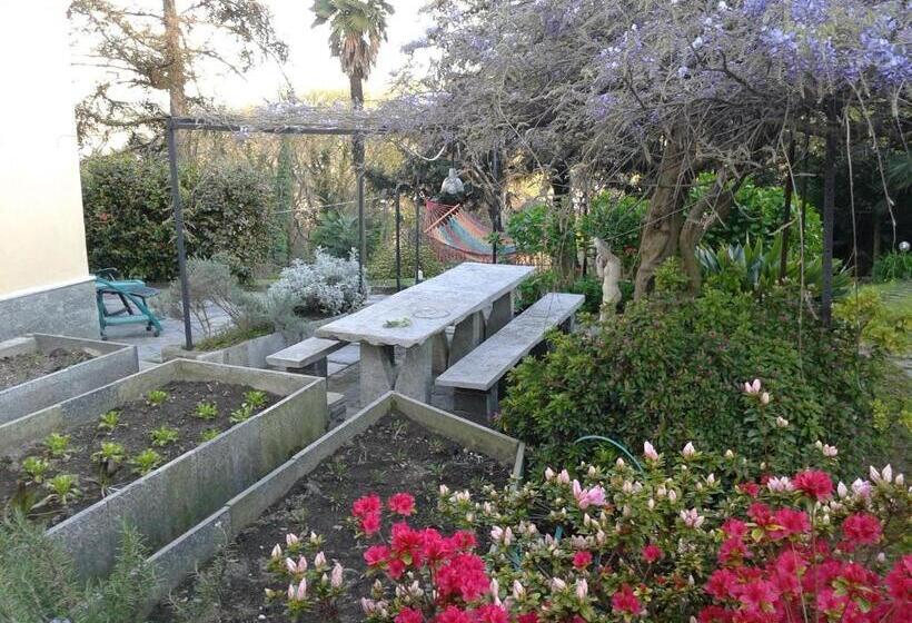 צימר Swanlake Rooms