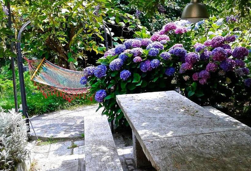 צימר Swanlake Rooms