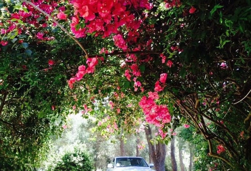 민박 Villa Dei Pini