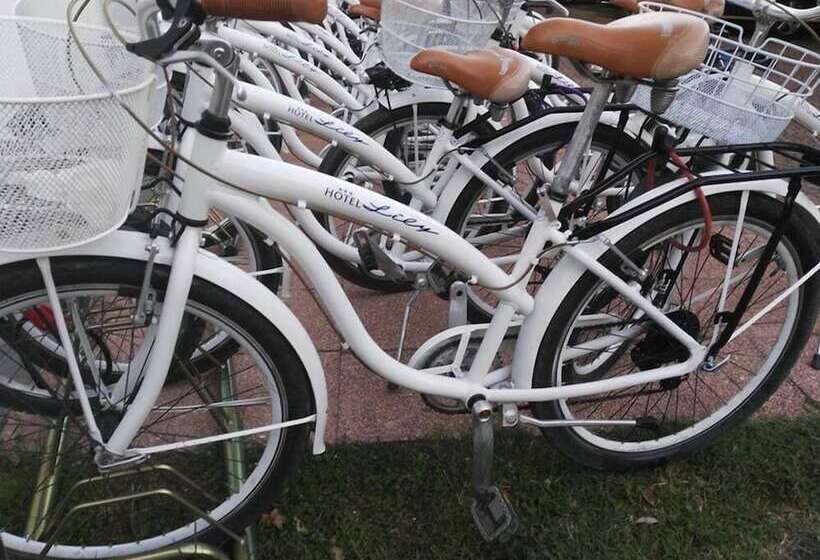 בית מלון כפרי Lily