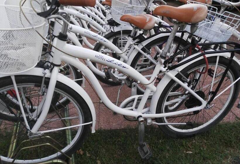 בית מלון כפרי Lily