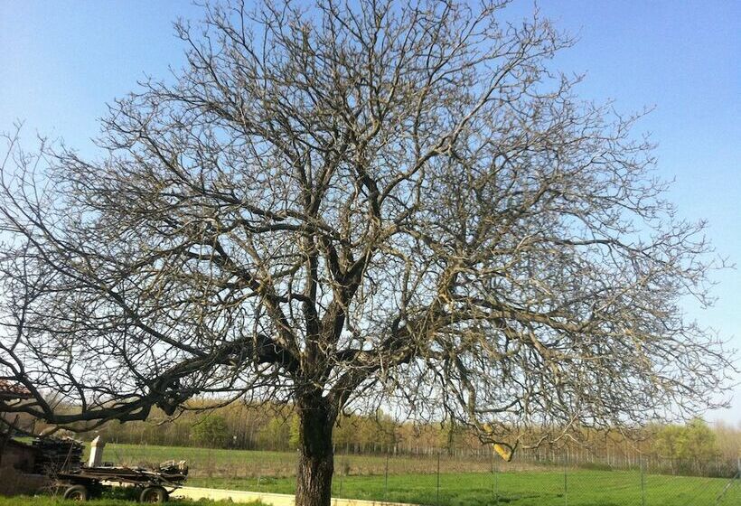 교외 호텔 Antico Noce