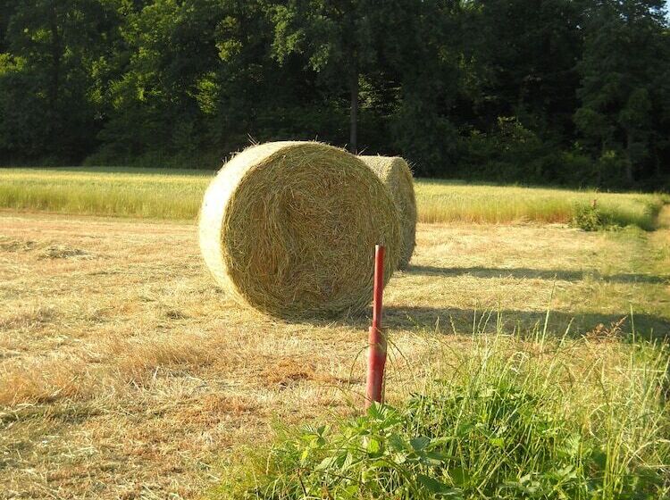 فندق ريفى Agriturismo Cascina Monchiero