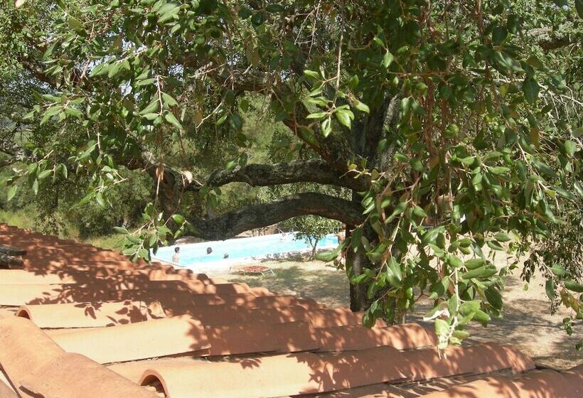 فندق ريفى Agriturismo Poggio Macinaio