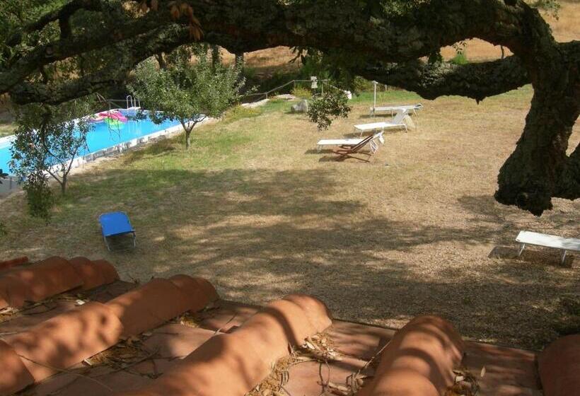 בית מלון כפרי Agriturismo Poggio Macinaio