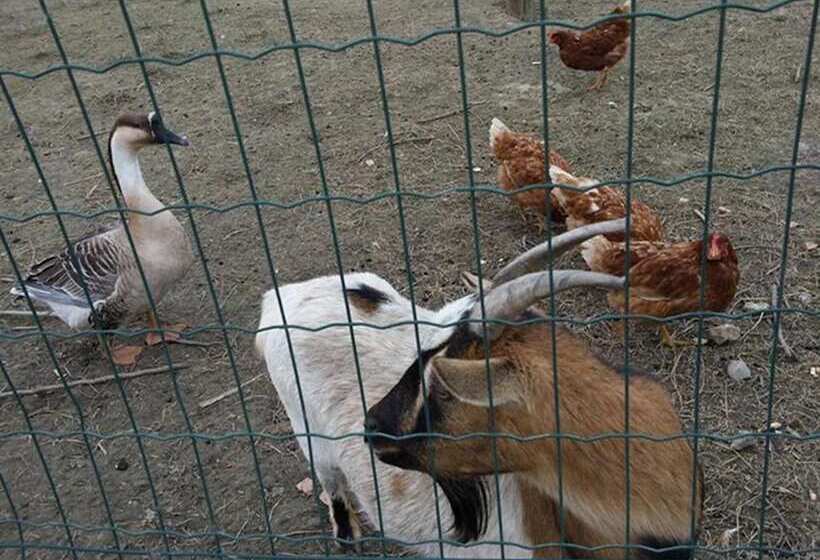 בית מלון כפרי Agriturismo Quadrifoglio Relax