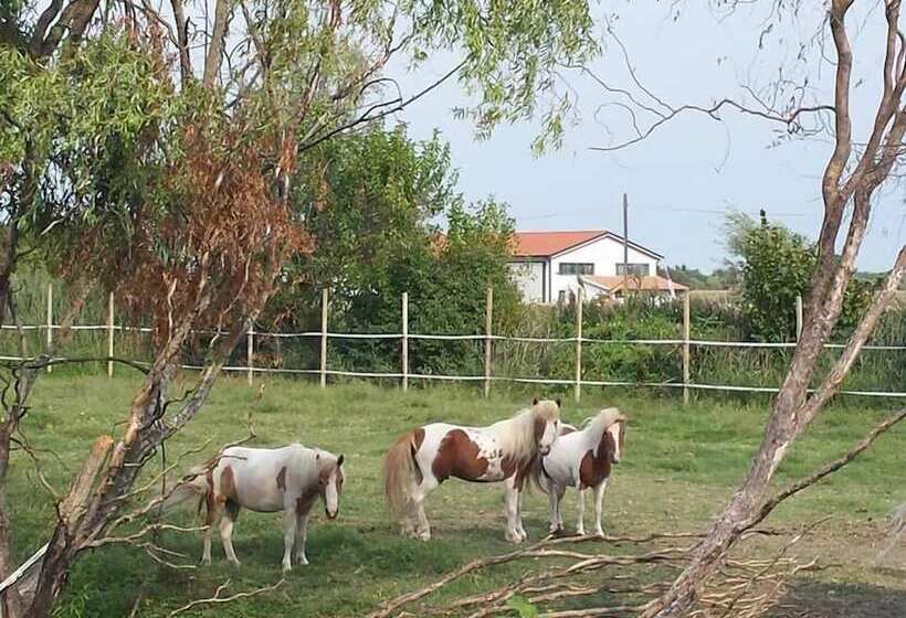 בית מלון כפרי Agriturismo Quadrifoglio Relax