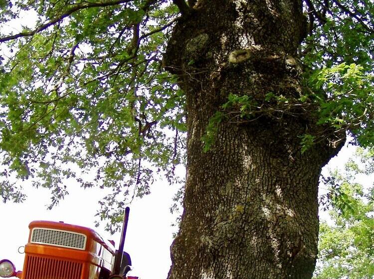 교외 호텔 All Antico Silbule