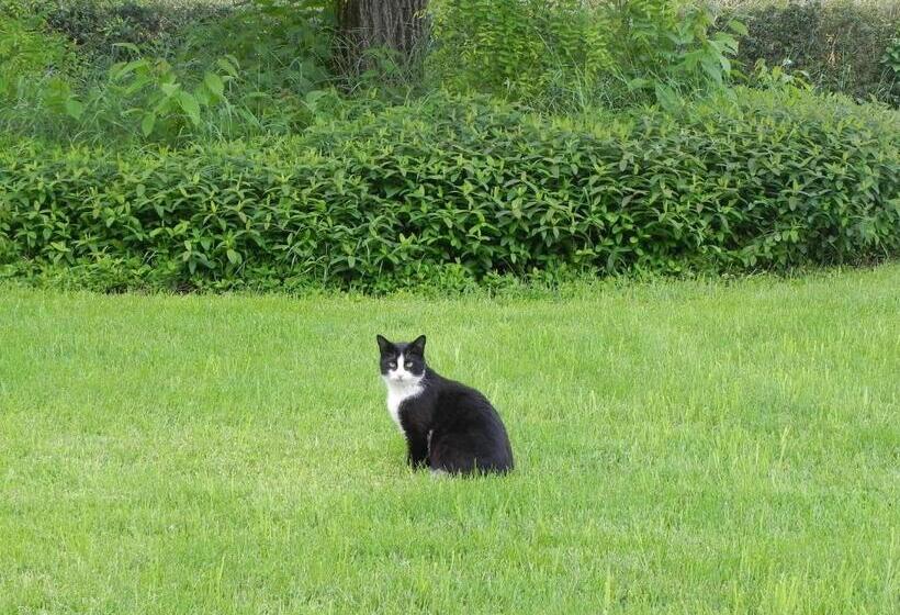 교외 호텔 Fattoria Di Marena