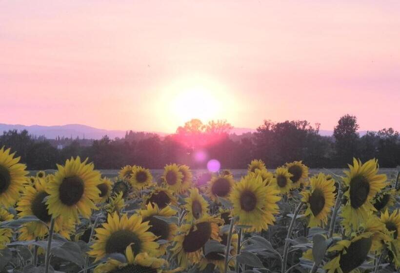 교외 호텔 Fattoria Di Marena