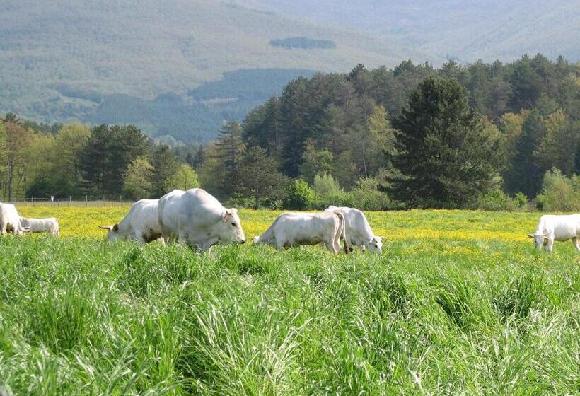 교외 호텔 Fattoria Di Marena