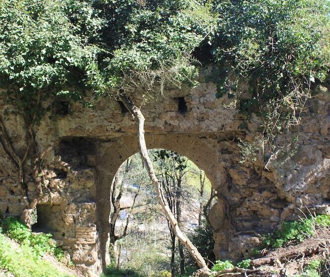 בית מלון כפרי Fattoria Lucciano