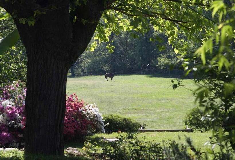 בית מלון כפרי La Cucchetta