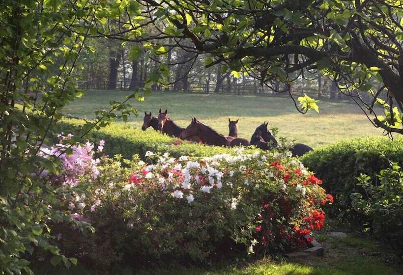 בית מלון כפרי La Cucchetta