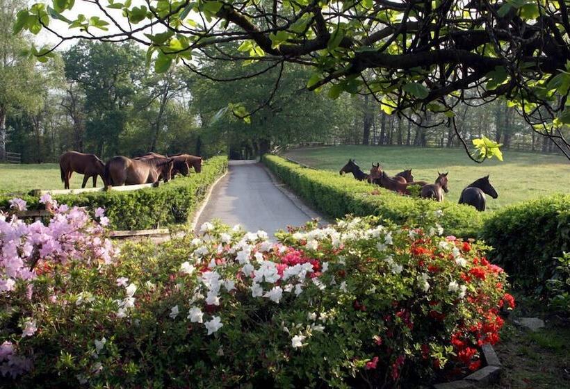בית מלון כפרי La Cucchetta